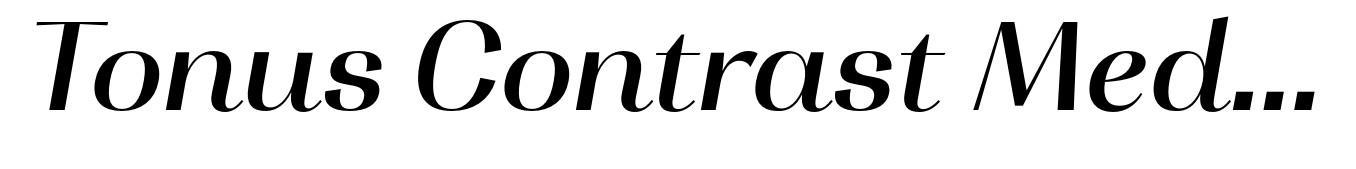 Tonus Contrast Medium Italic